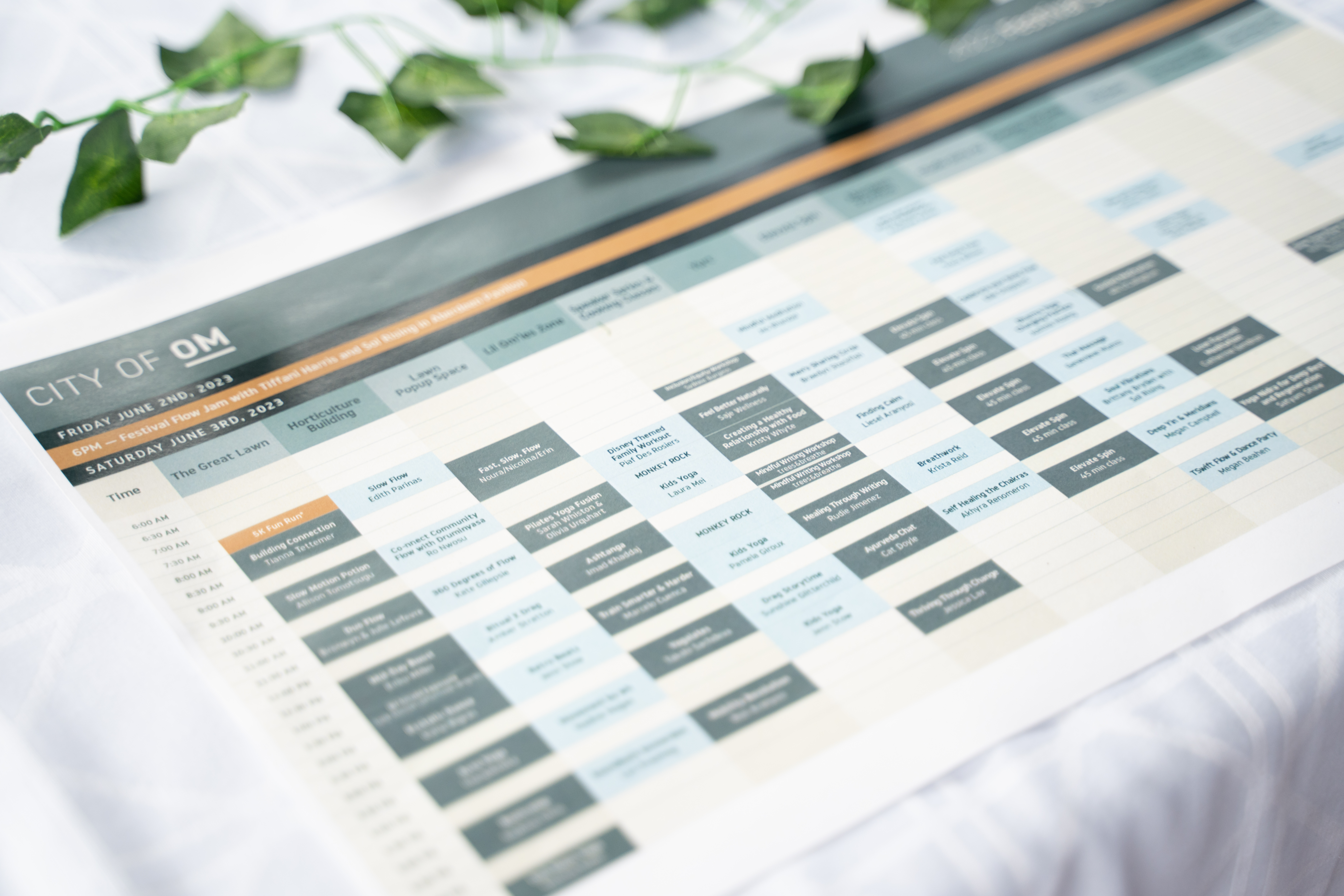 CITY OF OM VIP CLASS REGISTRATION